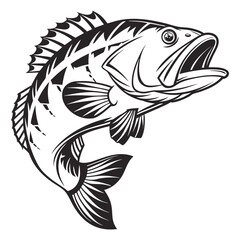 vector illustration of a grouper fish