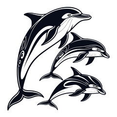dolphin vector illustration