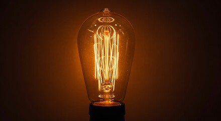 Vintage Edison Bulb Warm Glow.
