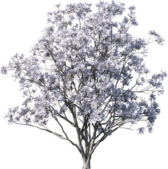 Transparent tree, nature, winter, branch, white, silhouette, isolated, snow, sky, black, bare, season, cold, forest, landscape, plant, dead, single, branches, vector, blue, trees, Christmas