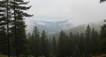 Turquoise fjord surrounded by steep rocky mountains
