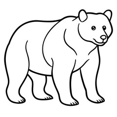 Polar bear vector illustration