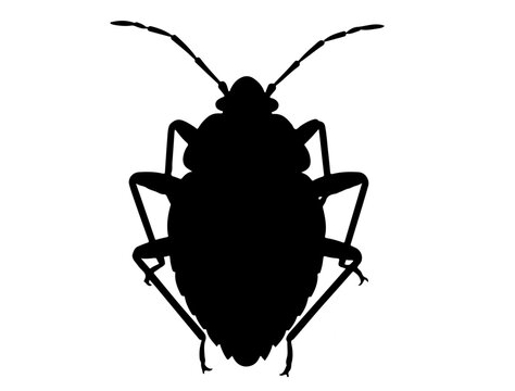 black stink bug silhouette on white background clip art preview