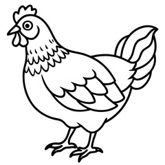 Vector illustration of a chicken