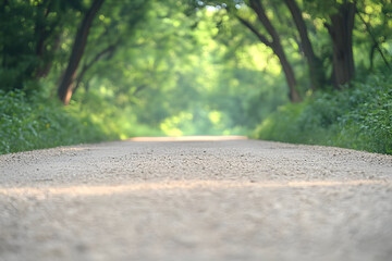 Gravel Road Through Green Trees Background Image