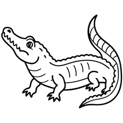 vector illustration of a crocodile