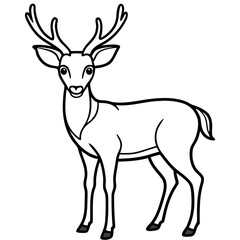 Deer vector illustration