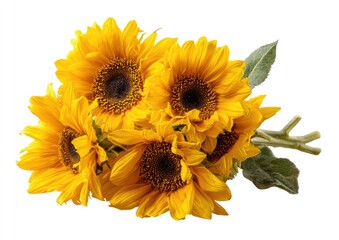 Cluster of vibrant yellow sunflowers