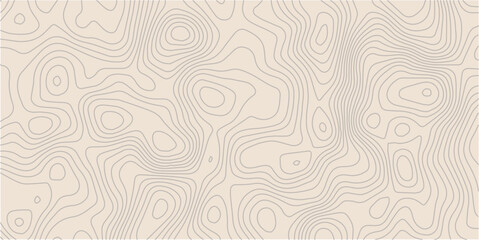 colorful wave paper curved reliefs abstract background, Abstract topographic contourscurved background, Topography map background. Vector geographic contour map. 