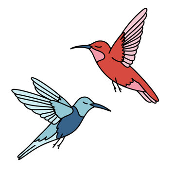Illustration of a Couple of  Colorful Hummingbirds Flying on Transparent Background