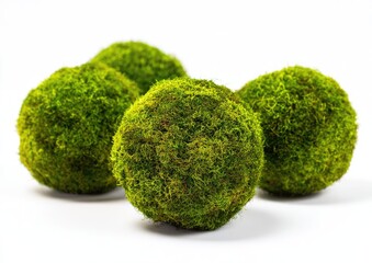Four moss balls, vibrant green, spherical, close-up against white background