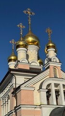 Potted plants arranged in vibrant colors at a garden center, showcasing various species and textures in a lively outdoor setting Flowers growing in plant Cactus, palm trees tropical bathed in warm sun