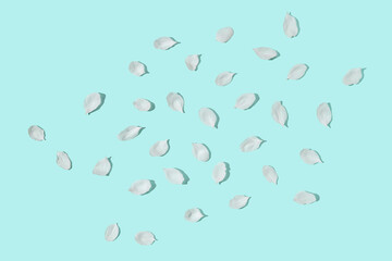 White flower petals scattered on light blue background creating a minimalist and serene pattern.