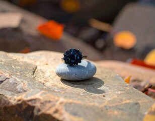 A black gemstone ring on a gray stone