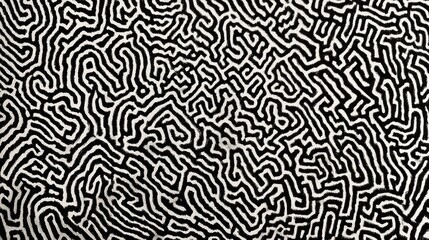 Obraz premium Intricate Ink Maze Pattern in Black and White Design