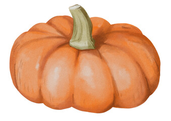 Autum pumpkin clipart set - Hand drawn watercolor PNG