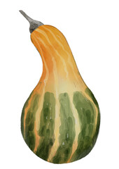 Autum pumpkin clipart set - Hand drawn watercolor PNG