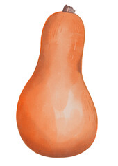 Autum pumpkin clipart set - Hand drawn watercolor PNG