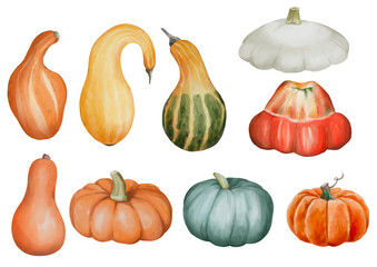 Autum pumpkin clipart set - Hand drawn watercolor PNG
