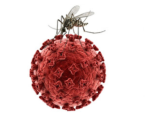 Naklejka premium Mosquito on red virus cell - concept of disease transmission and viral infection