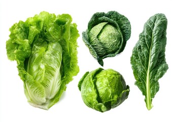 Four vibrant green leafy vegetables isolated