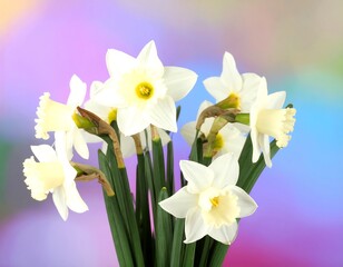 A bouquet of white daffodils against a blurred background