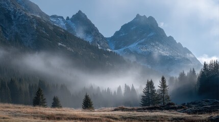 Fototapeta premium Foggy Morning in Mountain Valley with Mist and Evergreen Trees