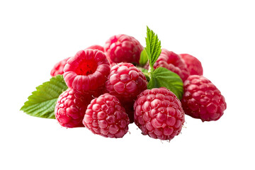 Fresh Raspberries Closeup on Black Background