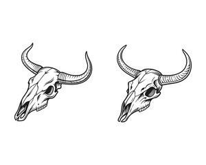 Fototapeta premium This image presents two detailed, black and white line art illustrations of buffalo skulls, perfect for use in various designs