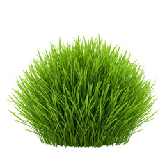 Lush green grass clump isolated on black perfect for nature and lawn projects transparent background