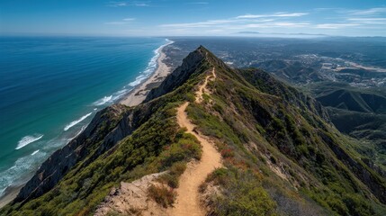 Fototapeta premium Scenic Trail Along Ridge with Ocean Views under Clear Blue Sky