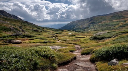 Fototapeta premium Scenic Alpine Trail Through Tundra Landscape Under Dramatic Sky
