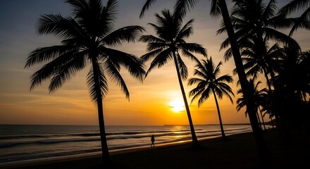 Obraz premium Sunset Silhouette of Palm Trees on the Beach.