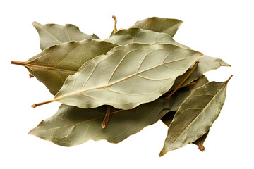 Fototapeta premium Dried Bay Leaves Aromatic Spice Herb
