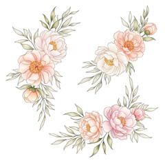 Elegant watercolor peony floral arrangements for decorative design projects transparent background