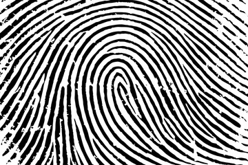Vector black fingerprint background. Detailed fingerprint on grunge background symbolizing identity verification.