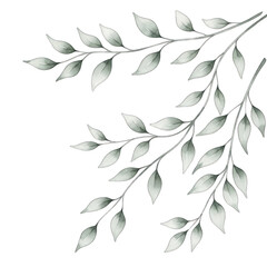 Fototapeta premium Elegant silver leaf branches decorative element for artistic designs and branding transparent background