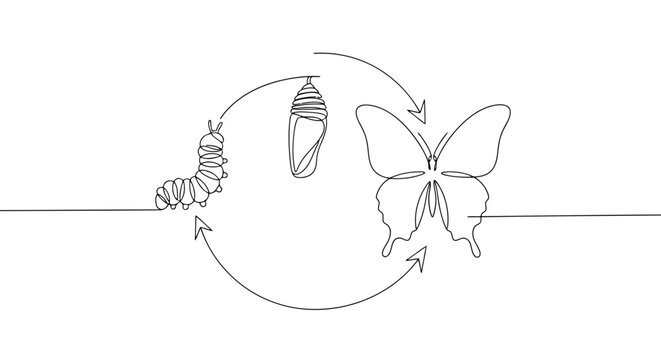 Butterfly clip art preview