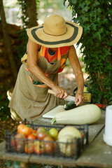 Woman cutting fresh zucchini outdoors in summer garden kitchen
