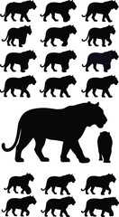 Silhouette Vector Set of Walking Tigers in Various Sizes and Poses for Wildlife Art, Graphic Design and Illustrations