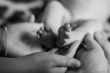 Tender Moment: Close-Up of a Parent's Hand Holding a Newborn Baby's Feet, Black and White, Soft Focus, Love, Family Connection, New Life