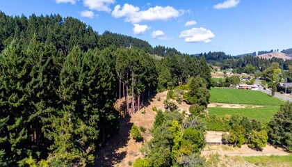 Fototapeta premium Scenic Aerial View of Lush Green Forest and Open Fields in Nature