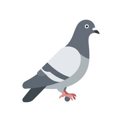 Obraz premium A stylized illustration of a pigeon standing against a white background.