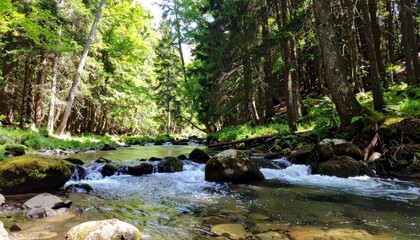 Obraz premium Tranquil Forest Stream Surrounded by Lush Green Trees and Rocks