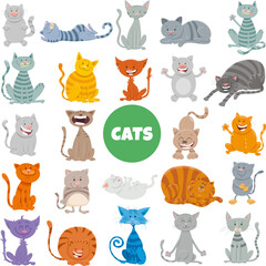 funny cartoon cats and kittens animal characters big set