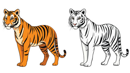 Obraz premium tiger, bengal, whitetiger, wildlife, animals, jungle, predator, cartoon, illustration, wildcat, feline, stripes, mammal, fauna, art, drawing, safari, nature, exotic, species, rare, endangered, vector,