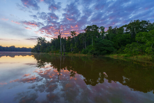 Cocha Salvador Manu Park | Sandoval Lake. Cocha Salvador Manu Park -It has a greater diversity of flora and fauna, it is located in the same manu reserve. amazonia rainforest. Beautifull sunrise.
