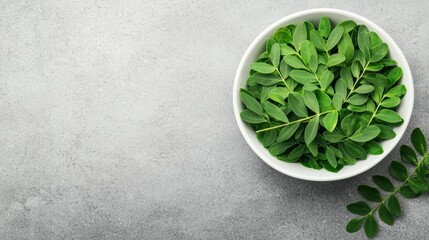 Fresh green leaves arranged in a white bowl on a textured gray surface, highlighting natural beauty and culinary potential.