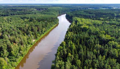 Obraz premium Aerial View of Serene River Flowing Through Lush Green Forests