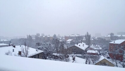 Obraz premium Serene Winter Cityscape with Snow-Covered Rooftops and Trees